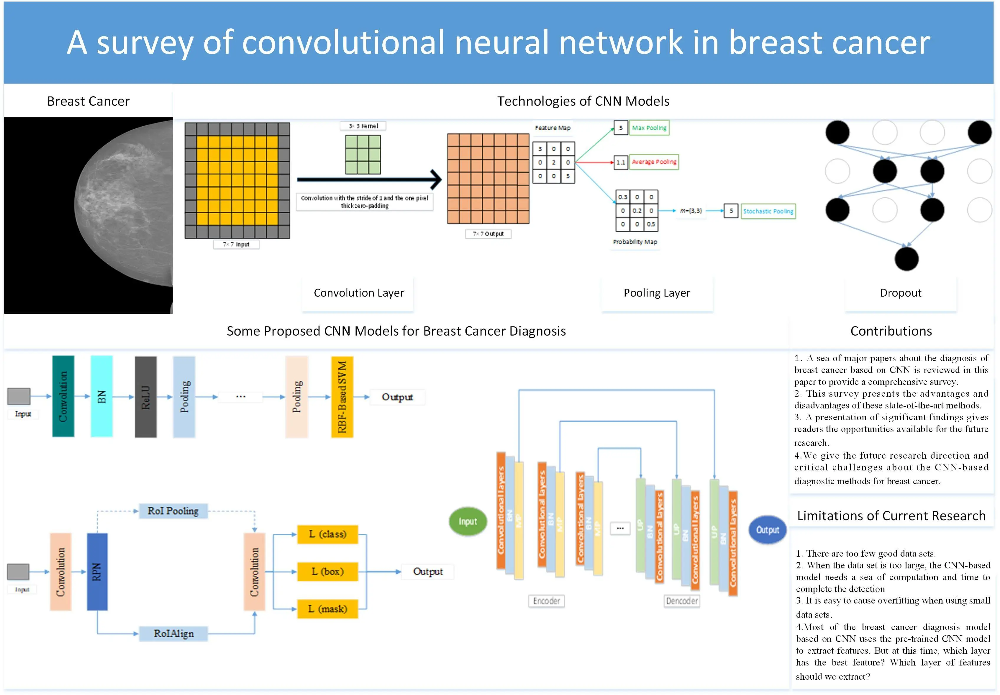 A Survey of Convolutional Neural Network in Breast Cancer