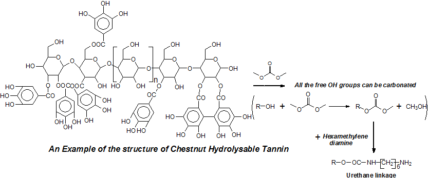 Hydrolysable Chestnut Tannin Extract Chemical Complexity in Its Reactions for Non-Isocyanate Polyurethanes (NIPU) Foams