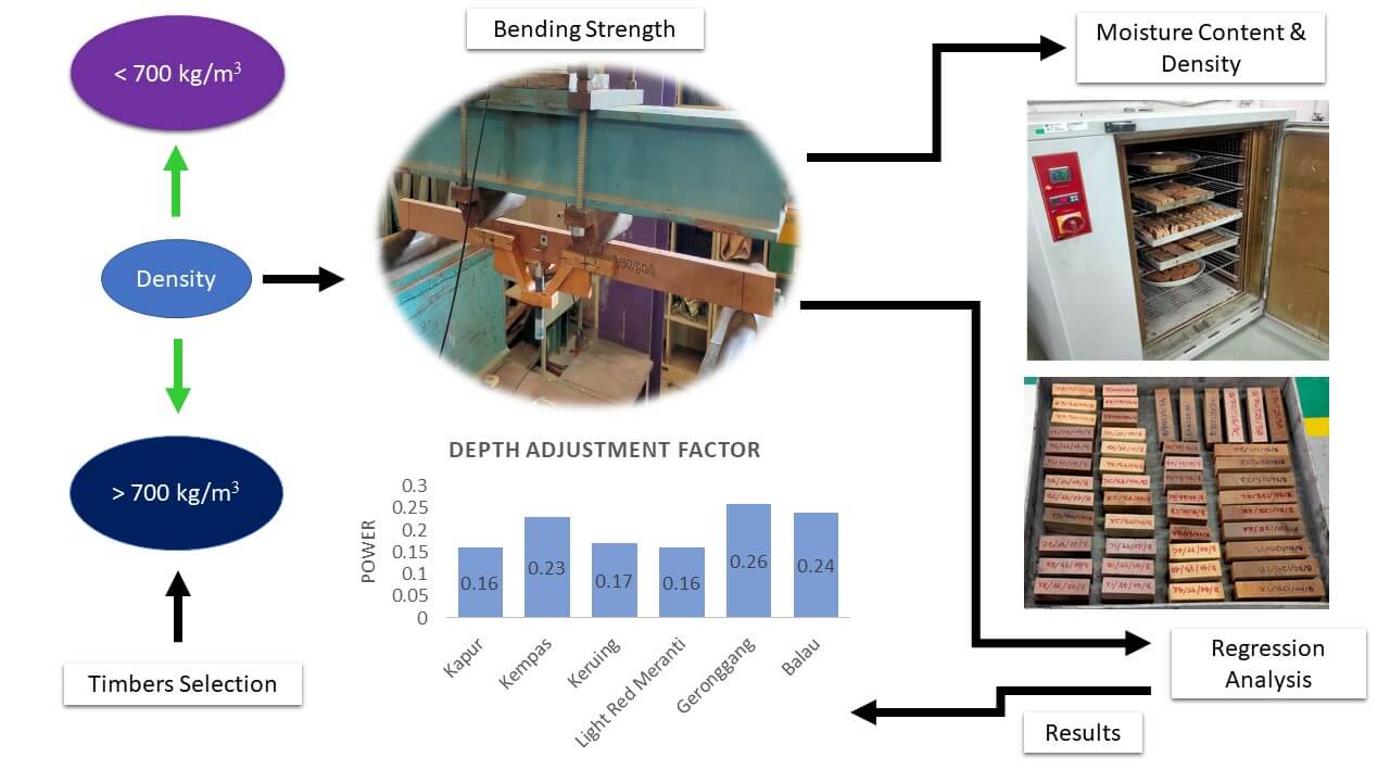 Verification of Depth Adjustment Factor in Eurocode 5 for Tropical Hardwood Timbers