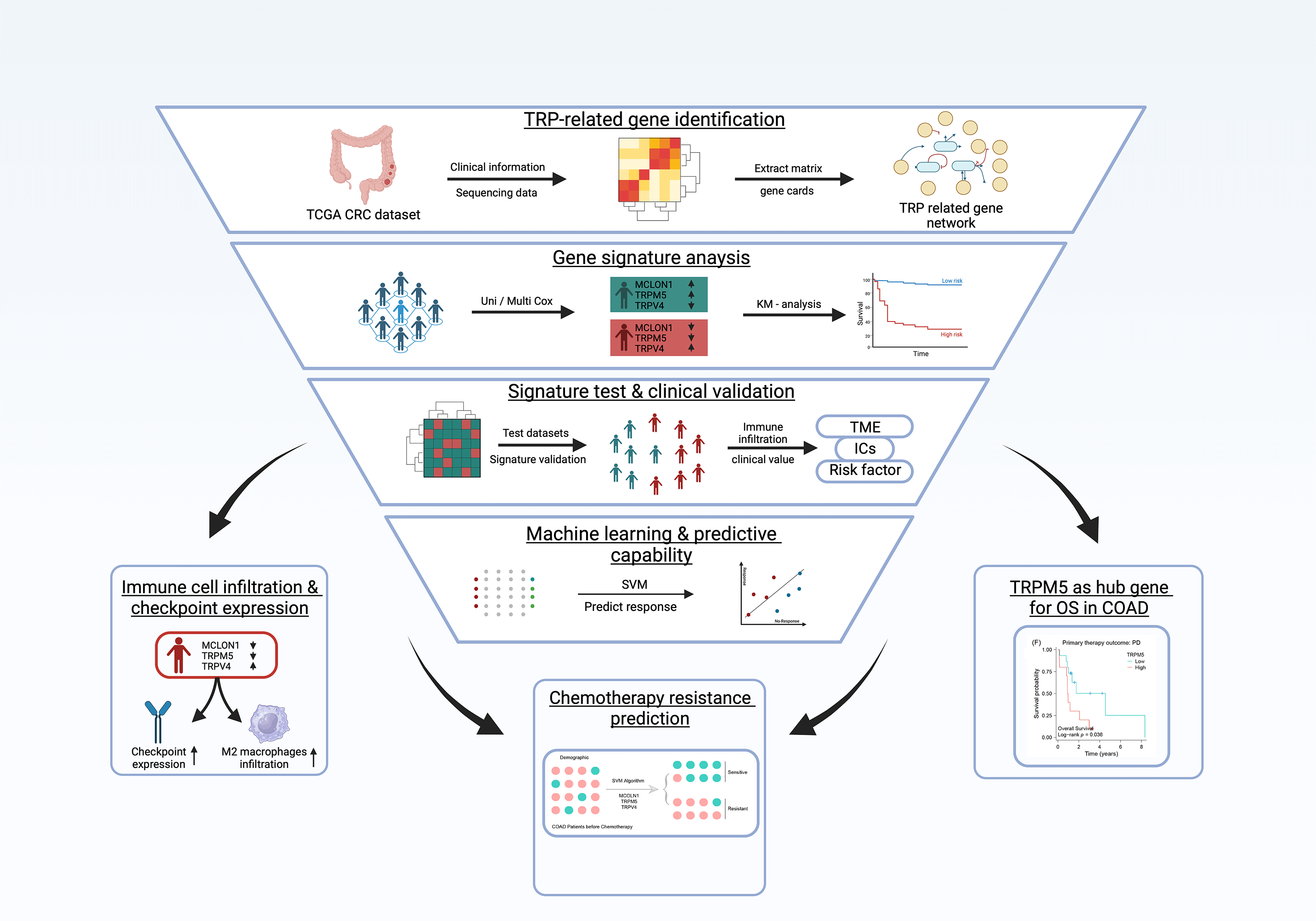 Transient receptor potential channels as predictive marker and potential indicator of chemoresistance in colon cancer