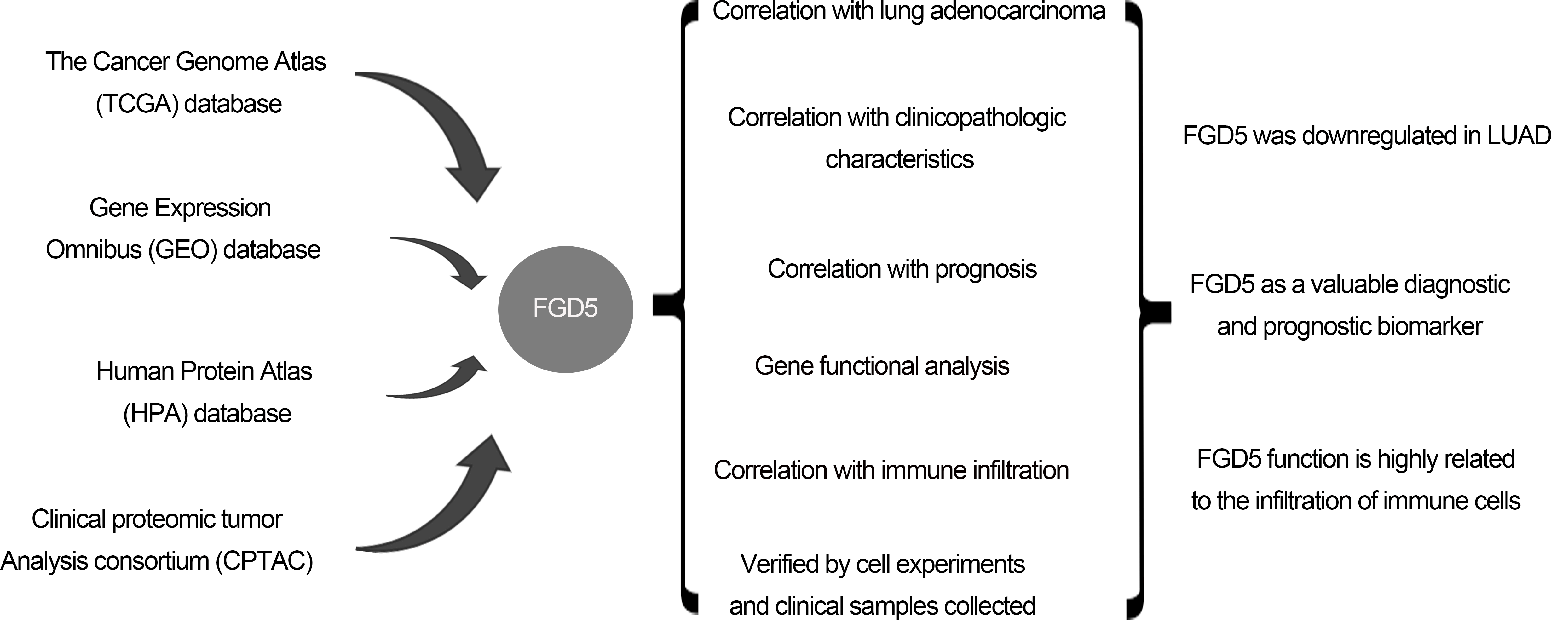 FGD5 as a novel prognostic biomarker and its association with immune infiltrates in lung adenocarcinoma