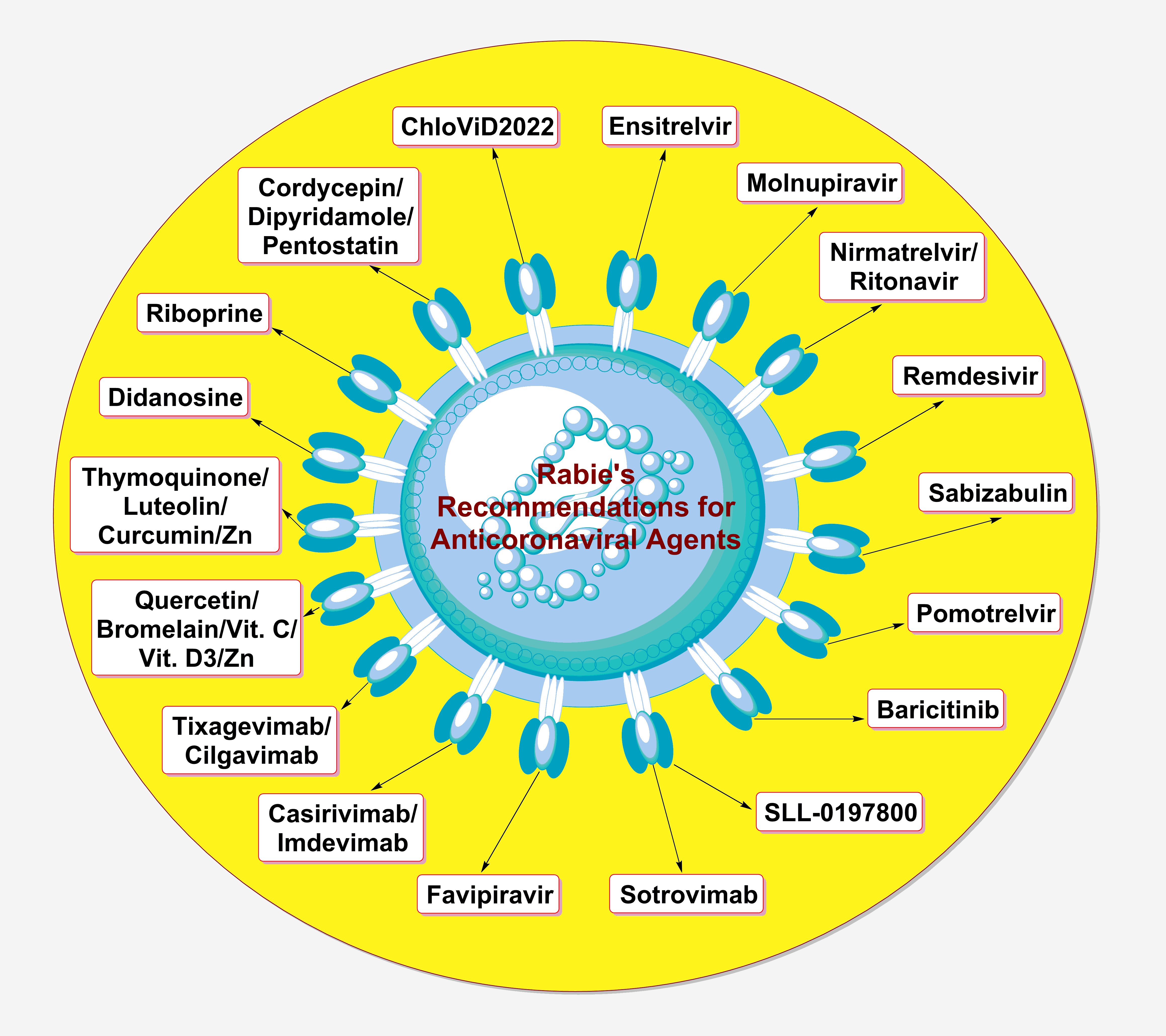 Future of the current anticoronaviral agents: A viewpoint on the validation for the next COVIDs and pandemics