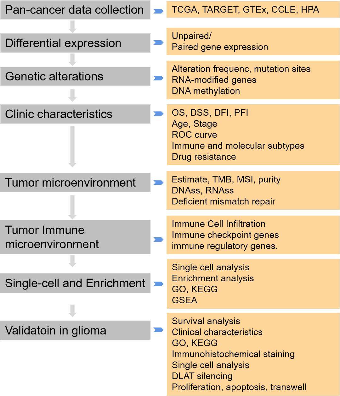 A comprehensive and systematic analysis of Dihydrolipoamide S-acetyltransferase <i>(DLAT)</i> as a novel prognostic biomarker in pan-cancer and glioma