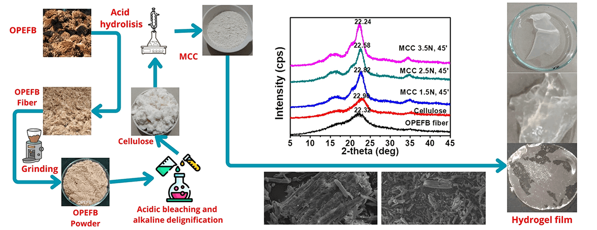 Characterization and Selection of Microcrystalline Cellulose from Oil Palm Empty Fruit Bunches for Strengthening Hydrogel Films