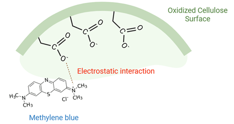 The Adsorption Properties of TEMPO Oxidized Cellulose against the Mixture of Methylene Blue and Rhemazol Yellow FG