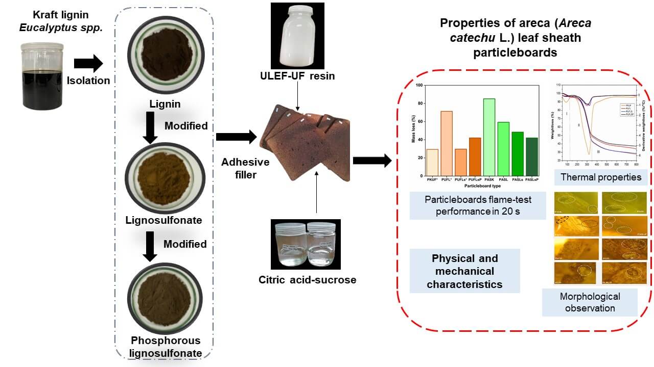 Thermo-Mechanical, Physico-Chemical, Morphological, and Fire Characteristics of Eco-Friendly Particleboard Manufactured with Phosphorylated Lignin Addition