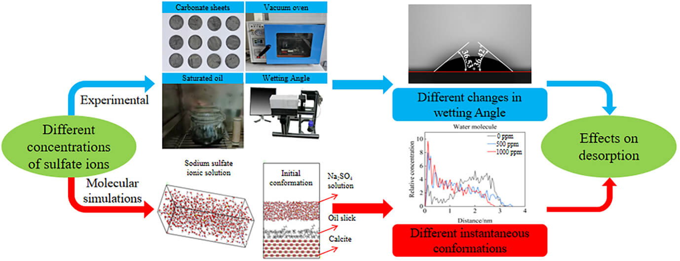 Effects of Different Concentrations of Sulfate Ions on Carbonate Crude Oil Desorption: Experimental Analysis and Molecular Simulation