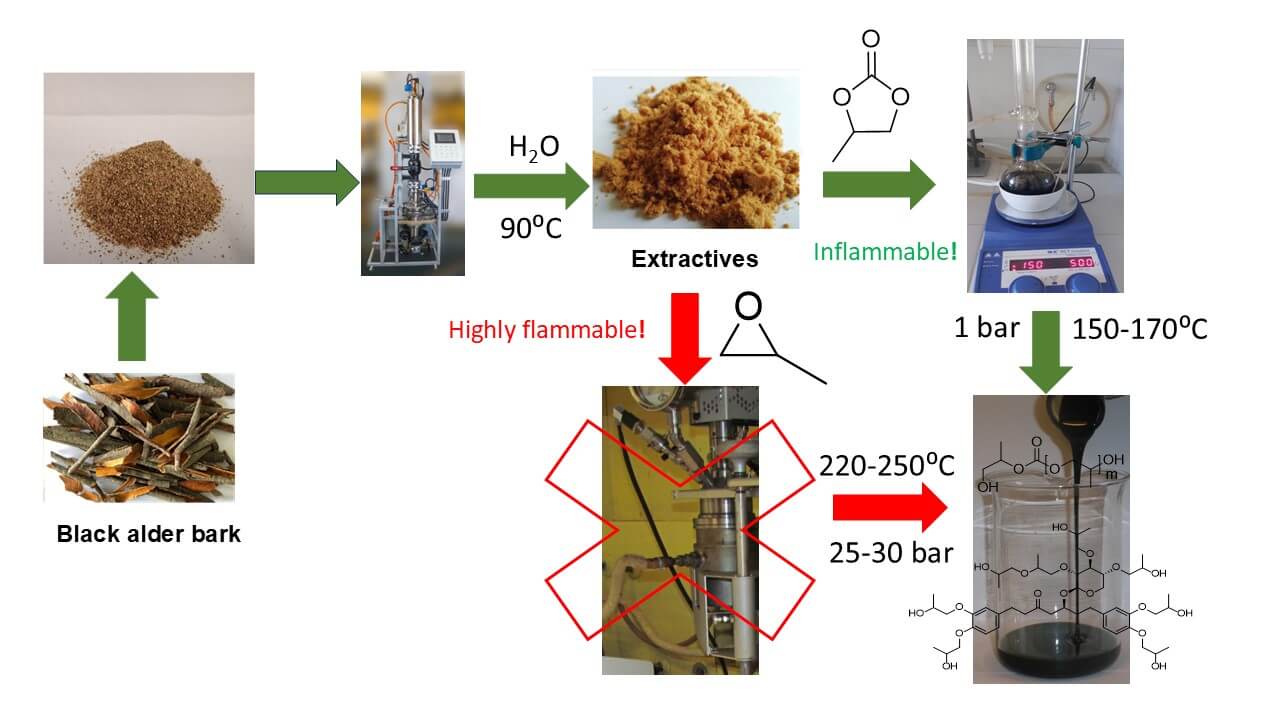 The Oxyalkylation of Hydrophilic Black Alder Bark Extractives with Propylene Carbonate with a Focus on Green Polyols Synthesis