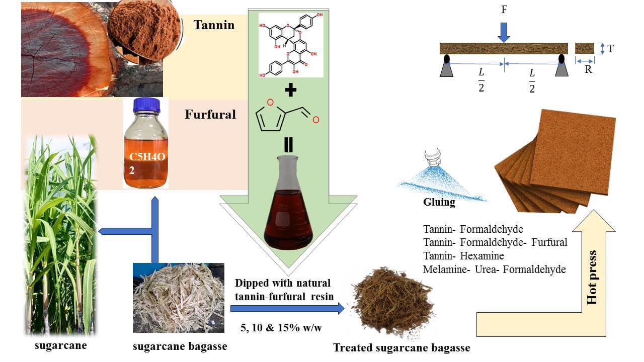 Chemically Modified Sugarcane Bagasse for Innovative Bio-Composites. Part One: Production and Physico-Mechanical Properties