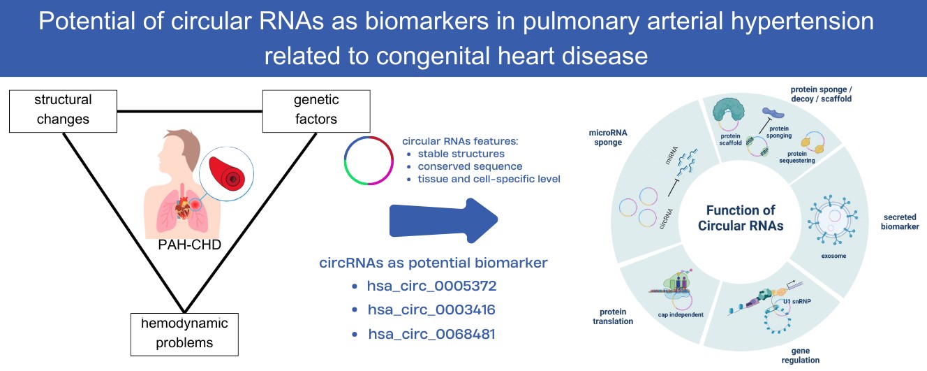 The Potential of Circular RNAs as Biomarkers in Pulmonary Arterial Hypertension Related to Congenital Heart Disease