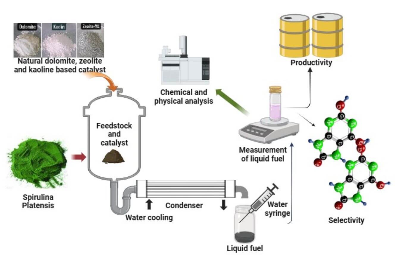 Production of Light Fraction-Based Pyrolytic Fuel from <i>Spirulina platensis</i> Microalgae Using Various Low-Cost Natural Catalysts and Insertion