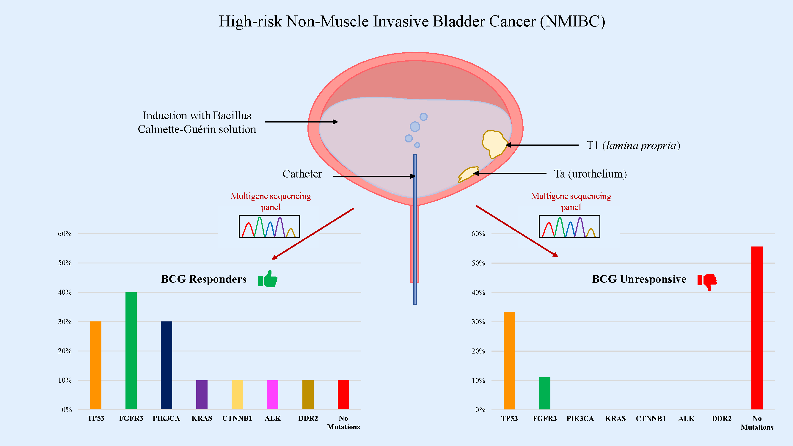 Exploring the utility of a NGS multigene panel to predict BCG response in patients with non-muscle invasive bladder cancer