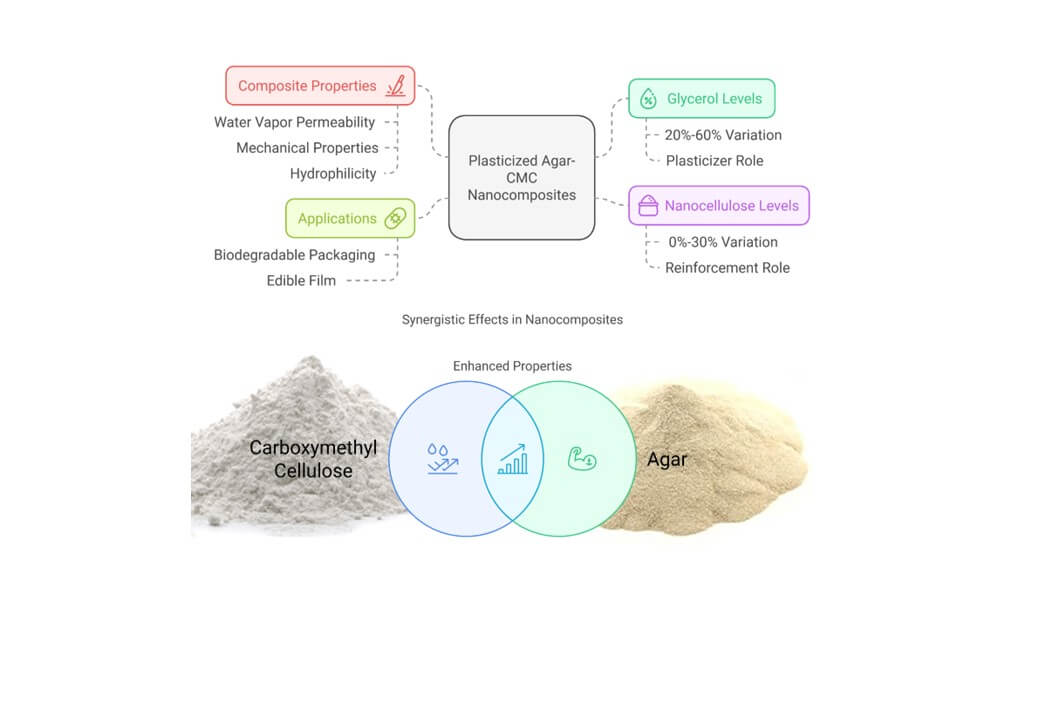Plasticized Agar-Carboxymethyl Cellulose Based Composites Properties Reinforced with Nanocellulose