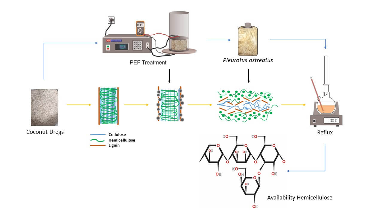 Stepwise Pretreatment of Pulsed Electric Fields and Solid Substrate Fermentation Using <i>Pleurotus ostreatus</i> on Coconut Dregs
