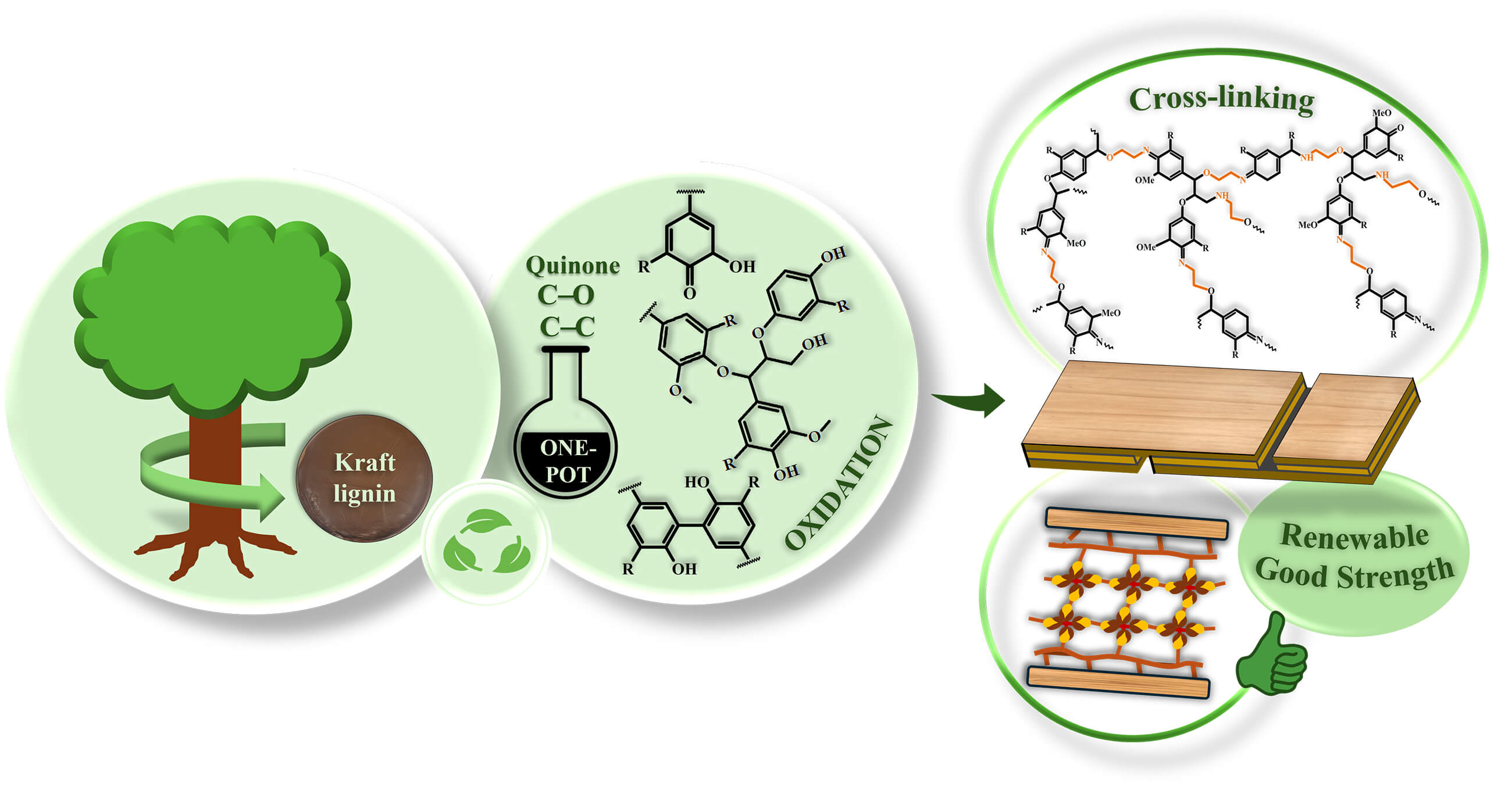 Facile Crosslinking of Hardwood Kraft Lignin for Sustainable Bio-Based Wood Adhesives