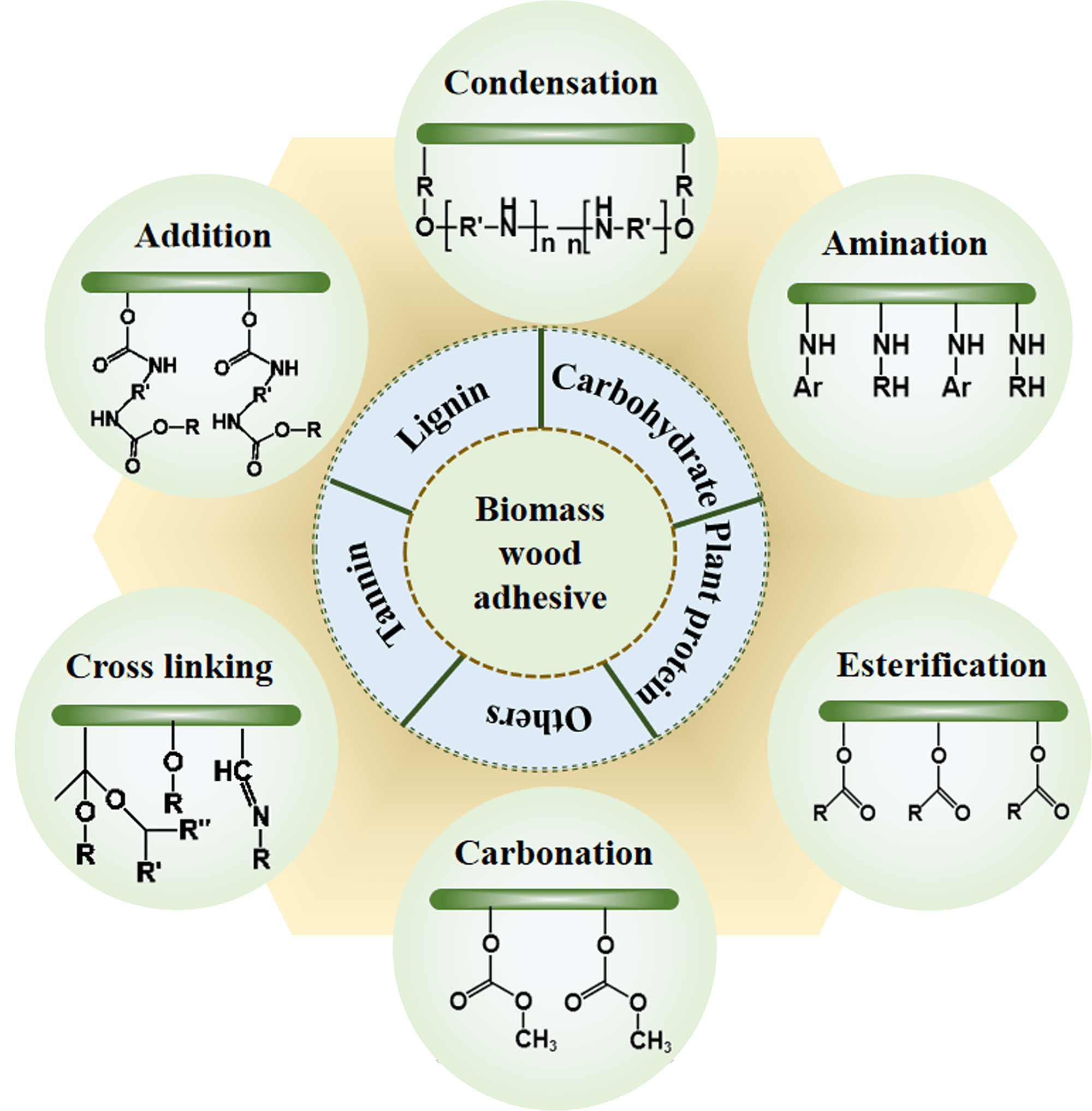 Recent Developments in Bioadhesives and Binders