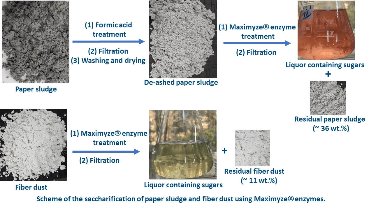 Saccharification of Paper Sludge and Fiber Dust Wastes from the Tissue Paper Industry by Maximyze<sup>®</sup> Enzymes