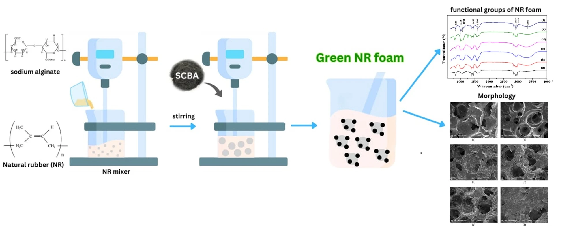 Green Natural Rubber Foam and Enhanced Physical Properties from Sugarcane Bagasse Ash