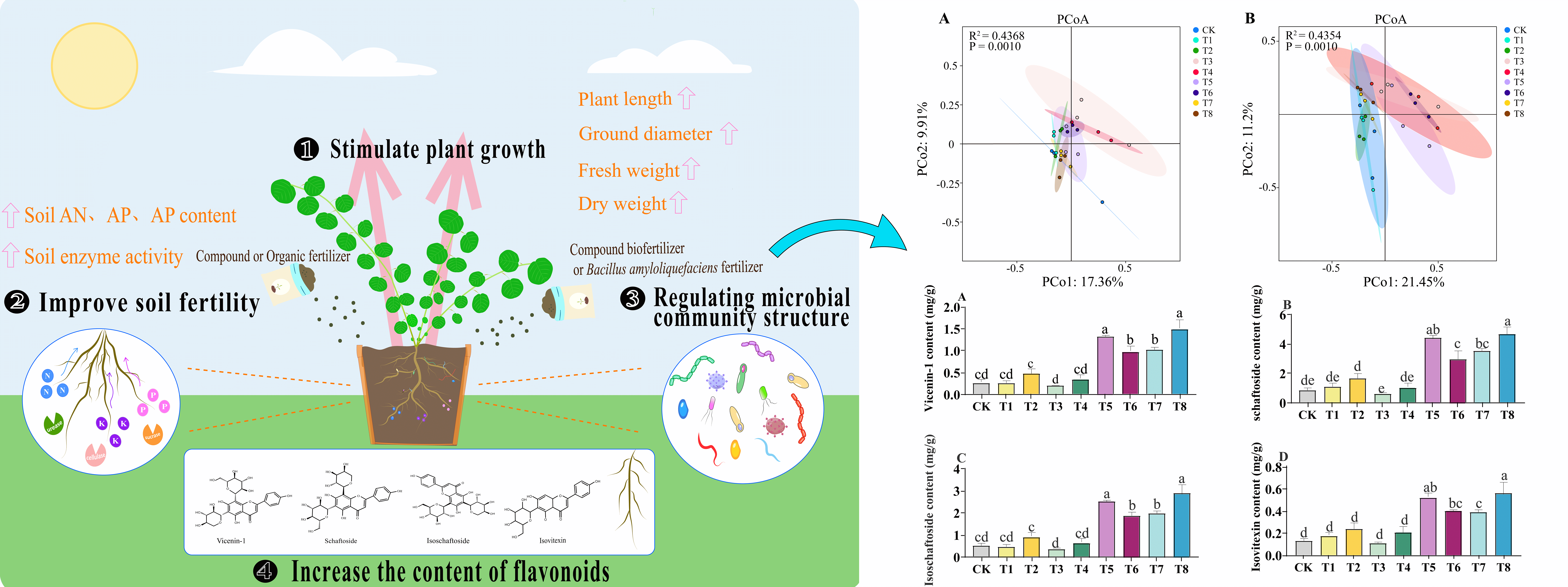 Effects of Different Fertilization Treatments on the Growth, Quality, and Microbial Community Structure of <i>Grona styracifolia</i>