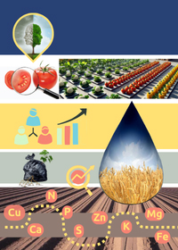 Optimizing Crops Production: Agronomic, Chemical and AI-assisted Approaches