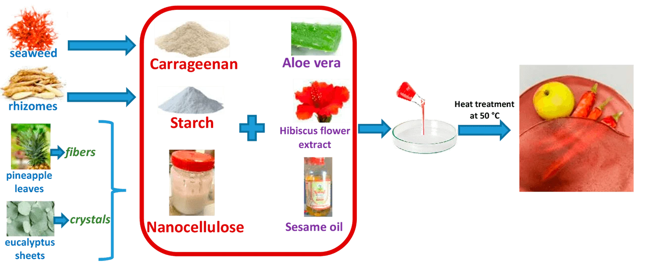 Bio-Composite Films from Carrageenan/Starch Reinforced with Nanocellulose for Active Edible Food Packaging: Development and Optimization