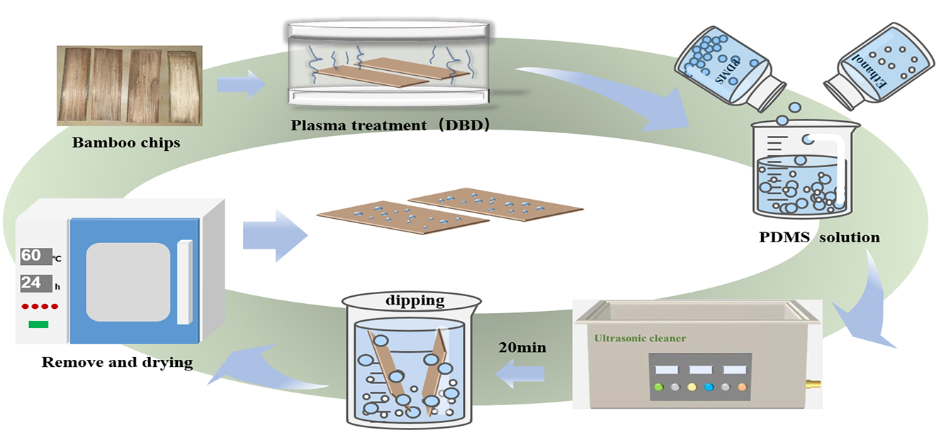Research on the Hydrophobic Performance of Bamboo Surface Treated via Coordinated Plasma and PDMS Solution Treatments