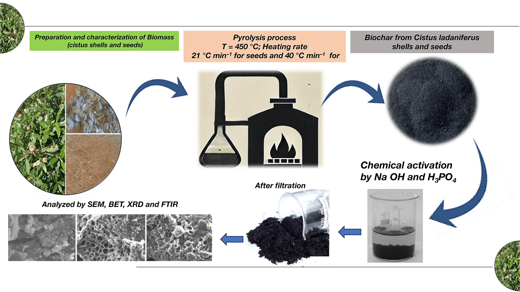Impact of Pyrolysis Parameters on Biochar and Activated Carbon Properties from <i>Cistus ladaniferus</i> for Environmental Applications