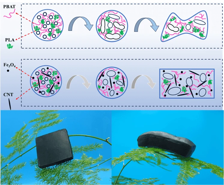 Study on the Improvement of Foaming Properties of PBAT/PLA Composites by the Collaboration of Nano-Fe<sub><b>3</b></sub>O<sub><b>4</b></sub> Carbon Nanotubes