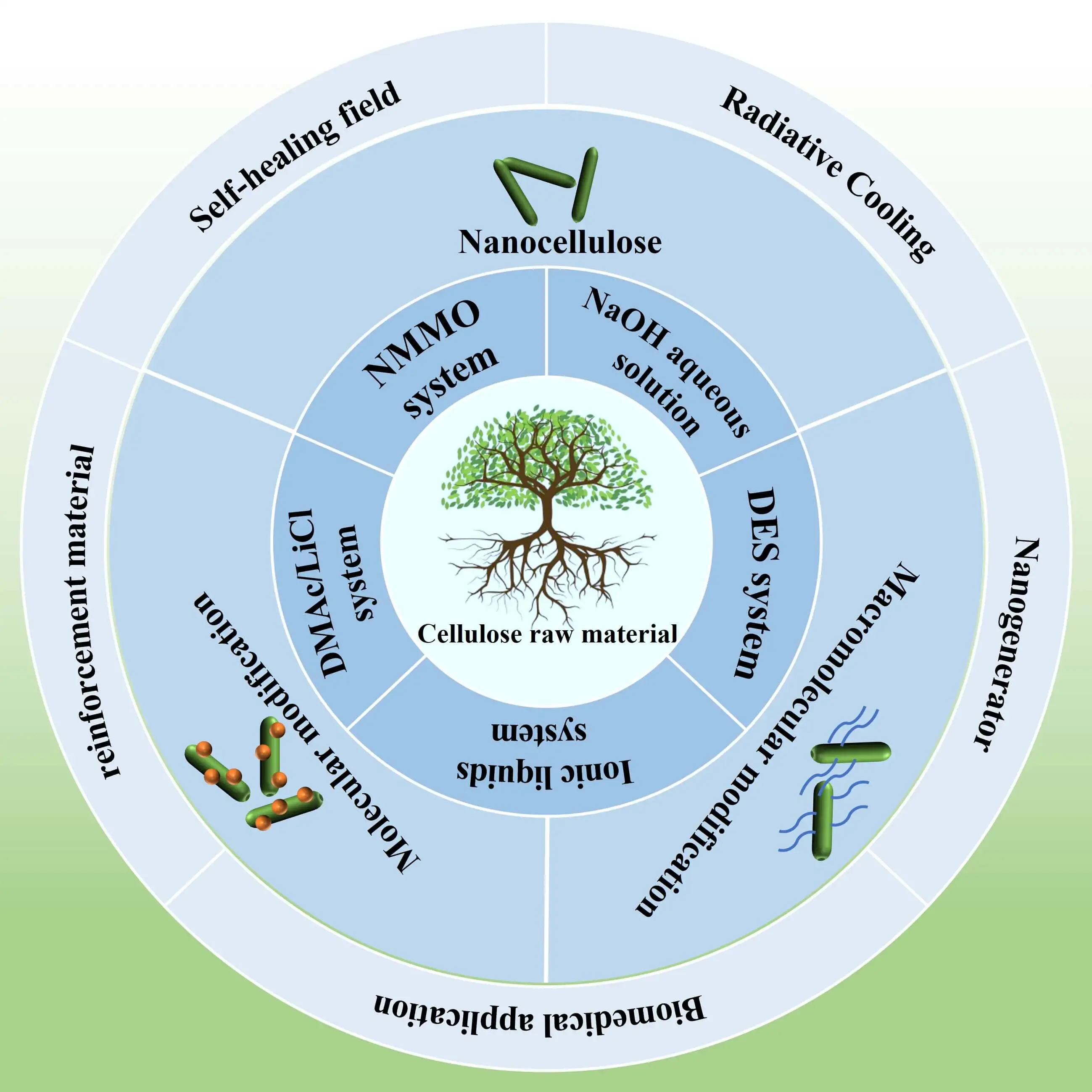 Extraction, Utilization, Functional Modification, and Application of Cellulose and Its Derivatives