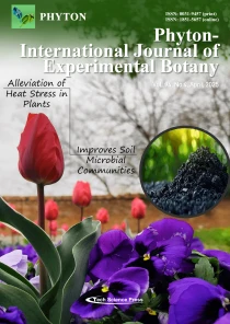 Journal Cover