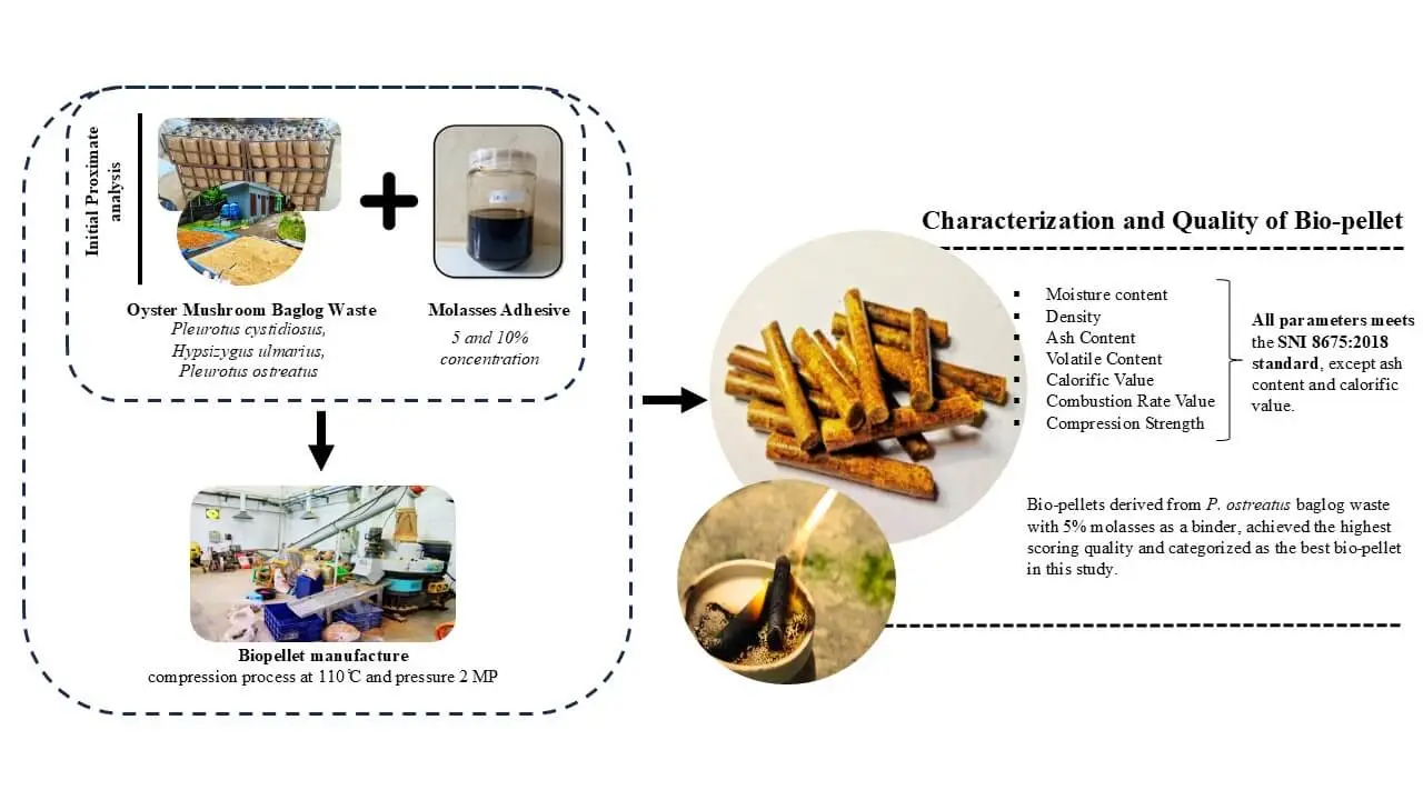 Molasses Adhesive Boosts Bio-Pellet Potential: A Study on Oyster Mushroom Baglog Waste