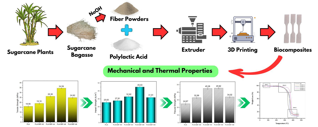 The Effect of Alkalization Fiber on Mechanical, Microstructure, and Thermal Properties of Sugarcane Bagasse Fiber Reinforced PLA Biocomposite