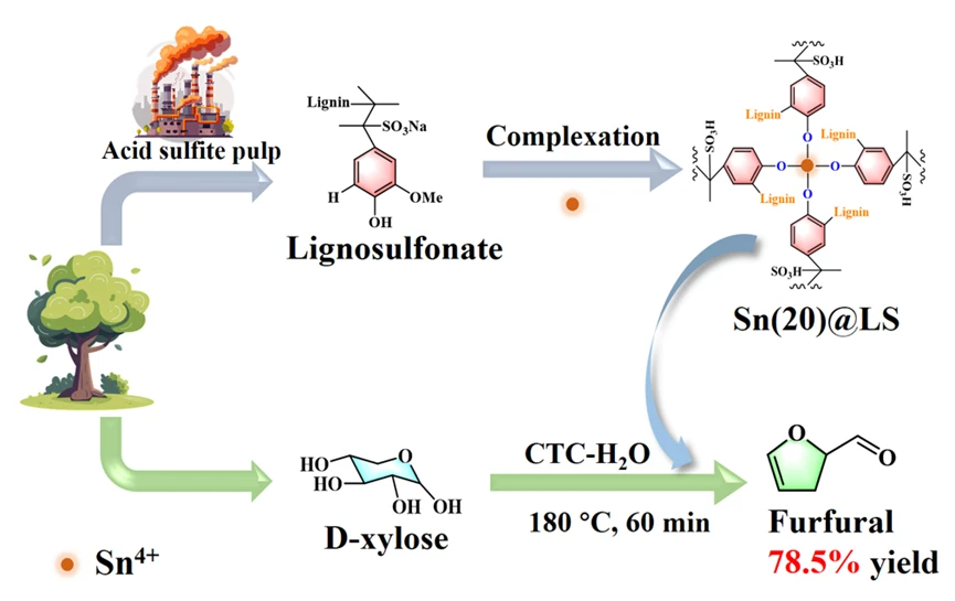 An Sn-Lignosulfonate Catalyst for the Dehydration of Xylose into Furfural in a Biphasic System