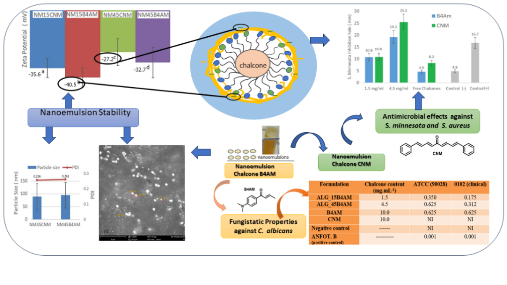 Biobased Nanoemulsions for a Sustainable Future