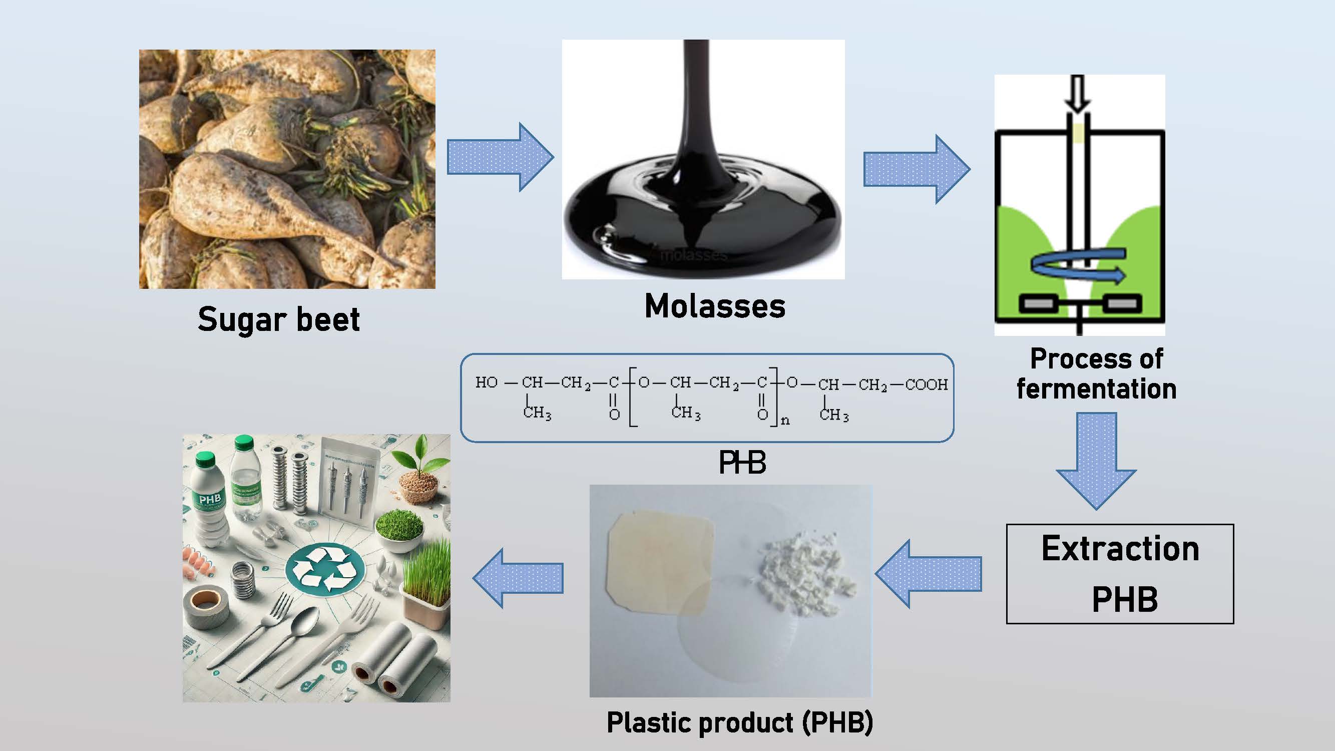 Study of Biosynthesis and Biodegradation by Microorganisms from Plastic-Contaminated Soil of Polyhydroxybutyrate Based Composites