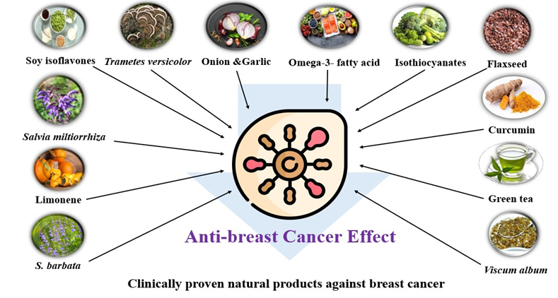 Clinically proven natural products against breast cancer, with mechanistic insights