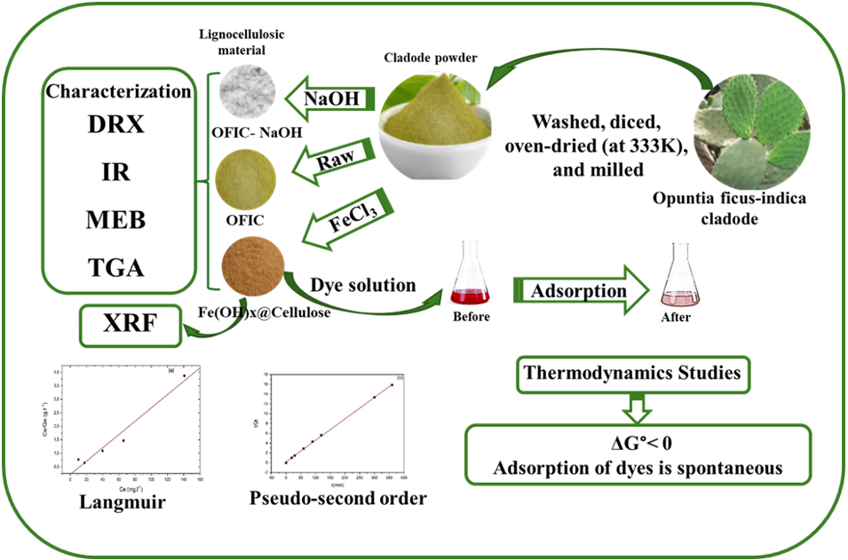 Iron Modified <i>Opuntia ficus-indica</i> Cladode Powder as a Novel Adsorbent for Dyes Molecules