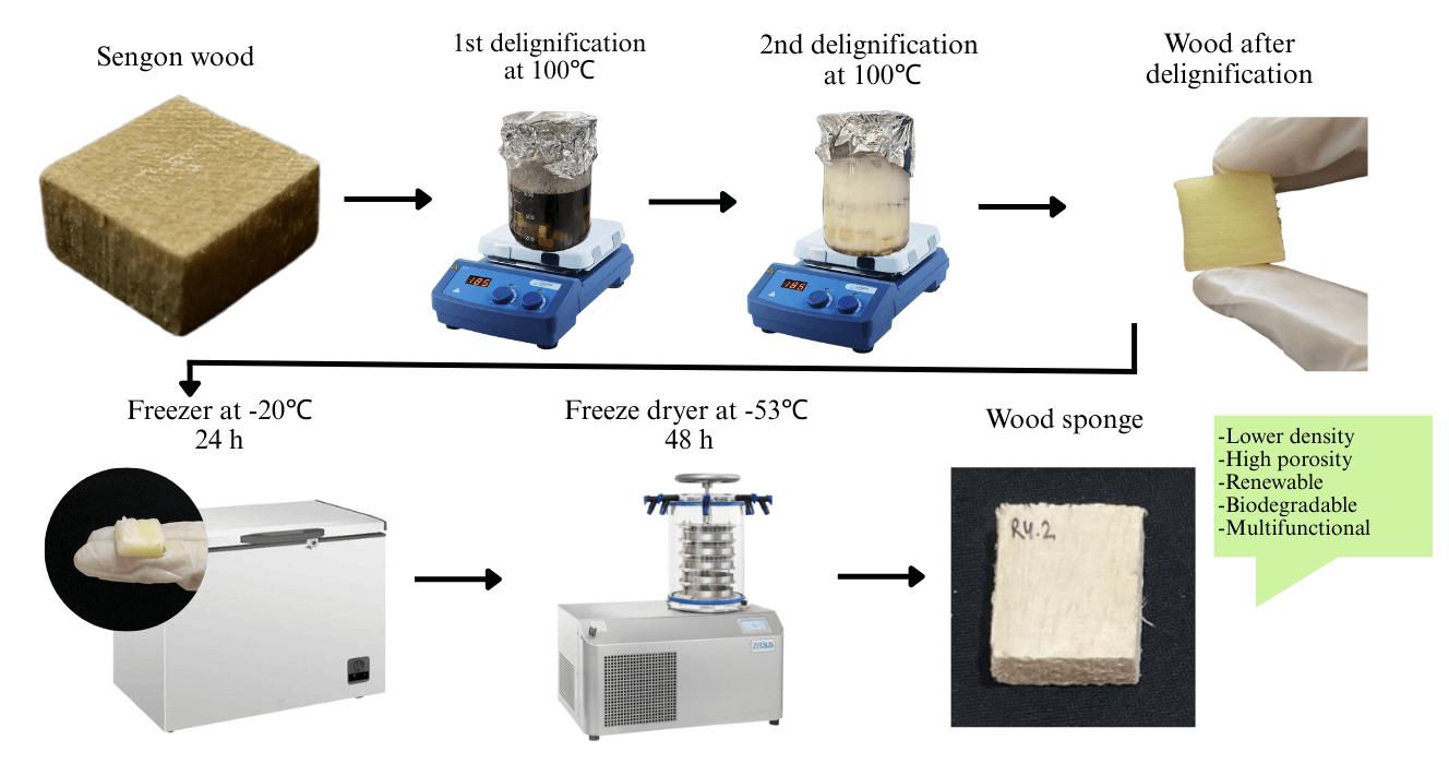 Characteristics of Wood Sponge from Sengon (<i>Falcataria moluccana</i>) Wood Manufacturing through a Multistage Delignification Process