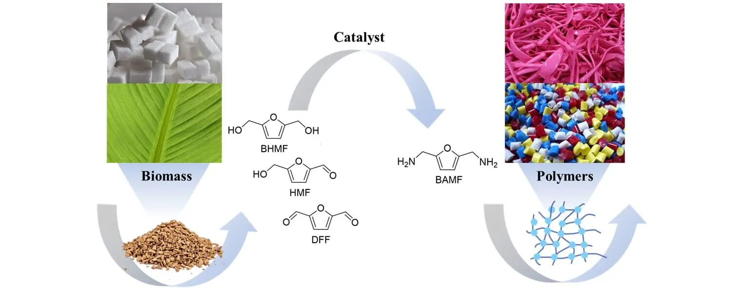 The Reductive Amination of Biomass-Based Aldehydes and Alcohols towards 2,5-bis(aminomethyl)furan: Progress, Challenges and Prospects