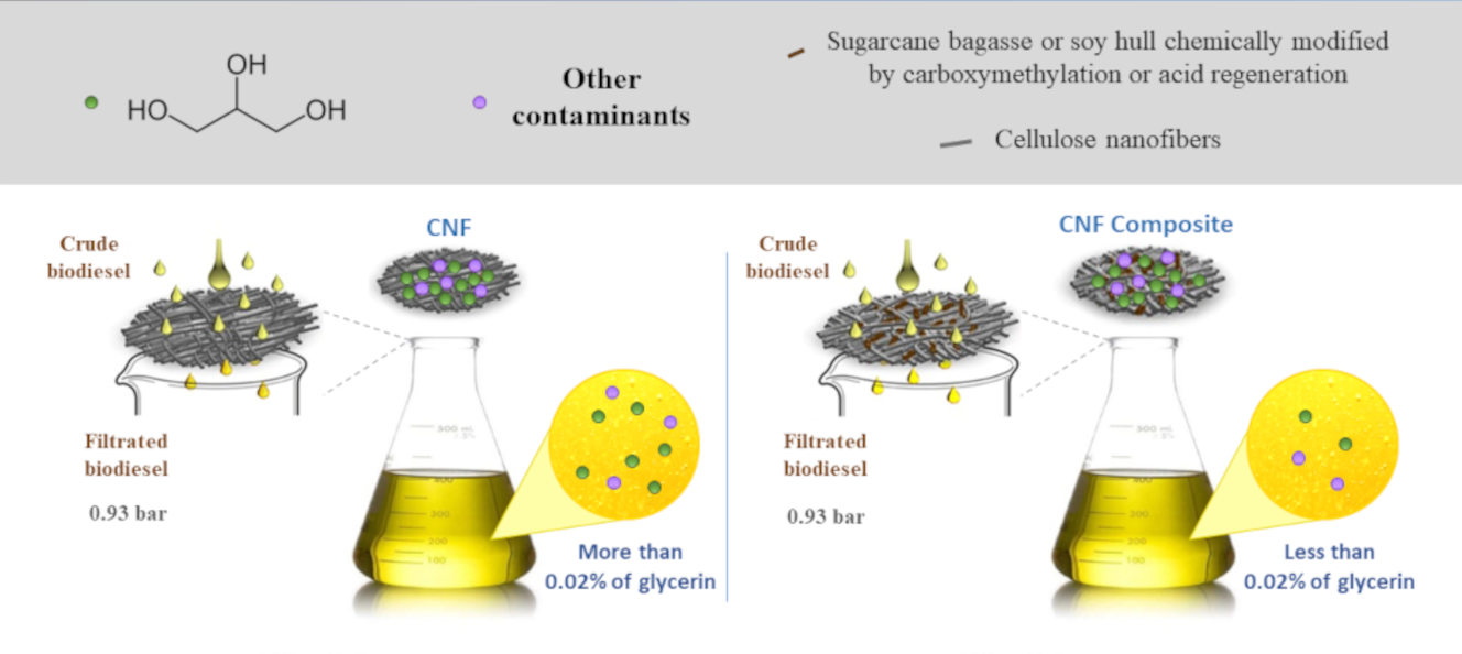 Development of Filter Composites Based on Eucalyptus Cellulosic Nanofibers, Sugarcane Bagasse Fibers and Soybean Hulls Applied in Biodiesel Purification