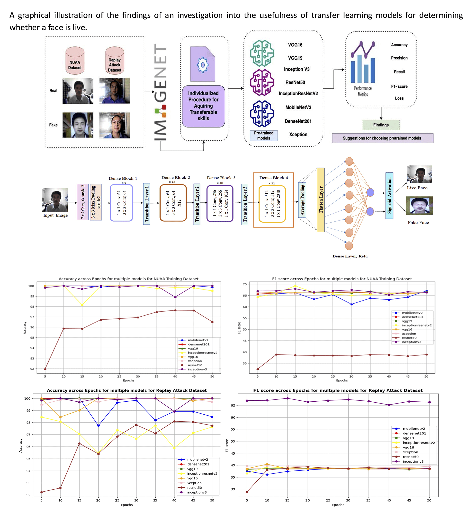 Optimizing CNN Architectures for Face Liveness Detection: Performance, Efficiency, and Generalization across Datasets