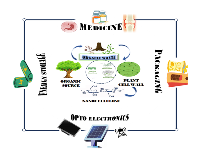Nanocellulose: A Comprehensive Review of Sustainable Applications and Innovations