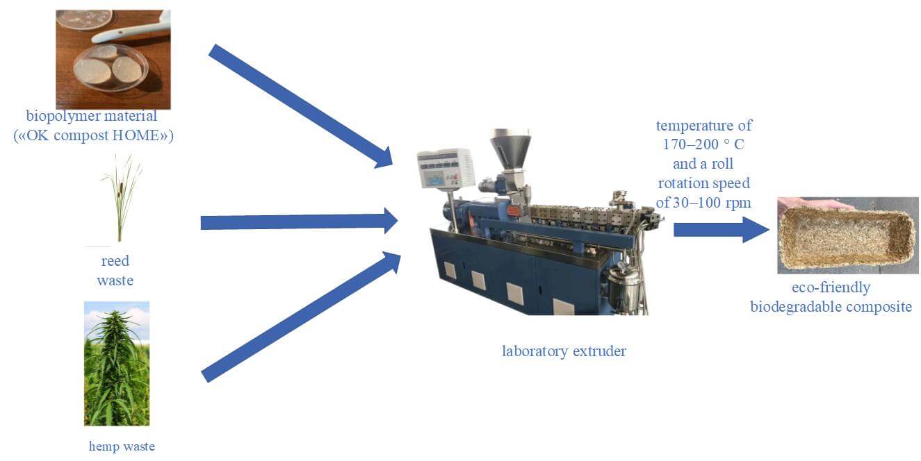 Design and Research of Eco-Friendly Biodegradable Composites Based on Renewable Biopolymer Materials, Reed, and Hemp Waste
