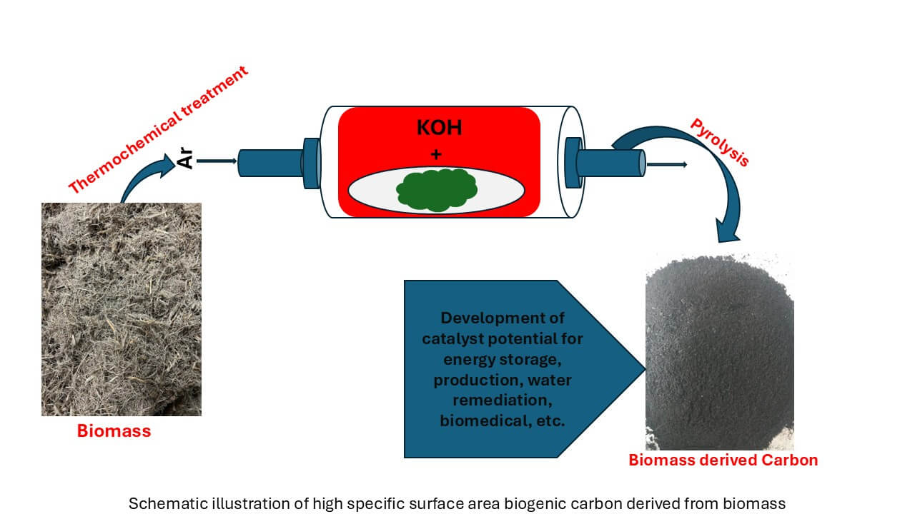 Biomass-Derived Carbon-Based Nanomaterials: Current Research, Trends, and Challenges