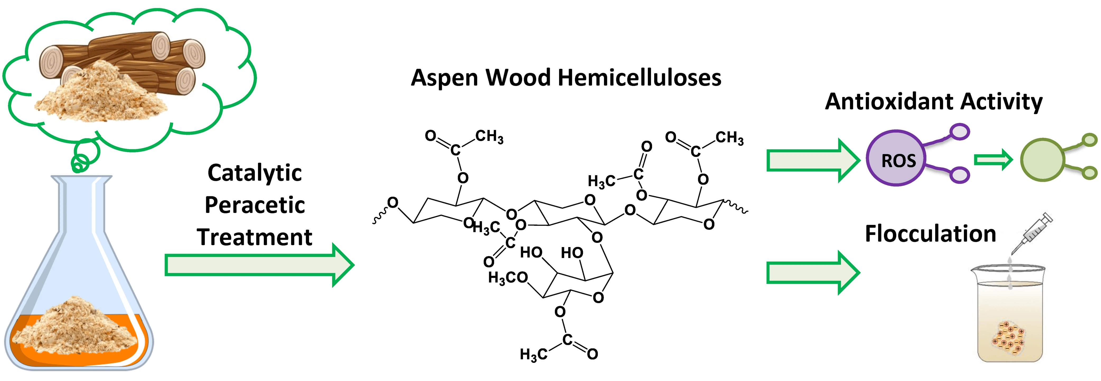 Highly Pure Water-Soluble Aspen Wood Hemicelluloses Derived by Catalytic Peracetic Treatment and Their Antioxidant and Flocculation Activity