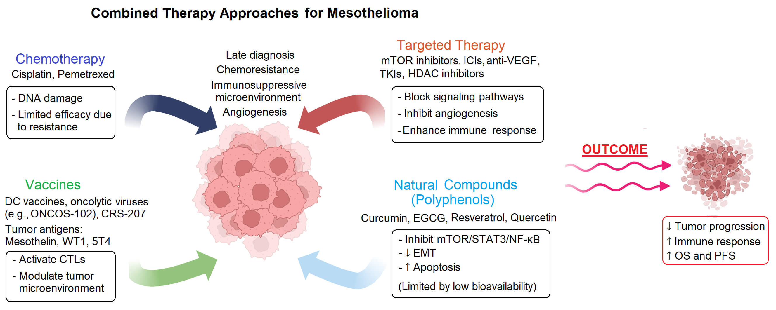 Combining Chemotherapeutic Agents, Targeted Therapies, Vaccines and Natural Bioactive Compounds for Mesothelioma: Advances and Perspectives