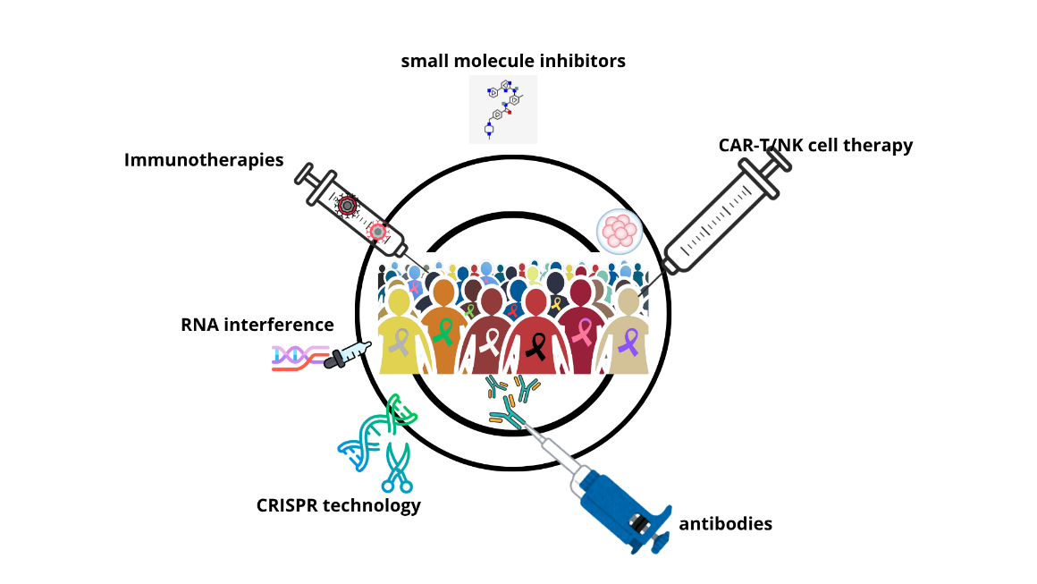 Novel Targeted Therapy in Oncology