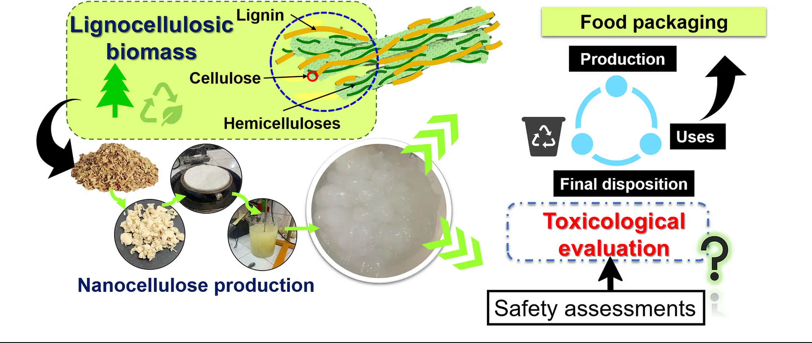 Toxicological and Safety Considerations of Nanocellulose-Containing Packaging Materials