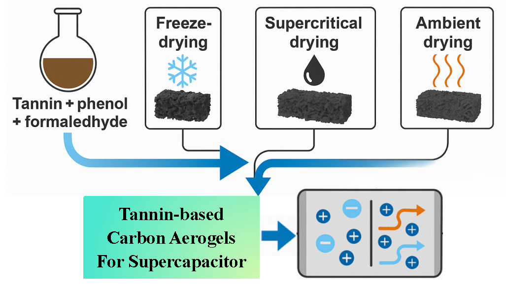 Bio-Derived Tannin-Modified Phenolic Carbon Cryogels with Optimized Microstructure for Supercapacitors Application