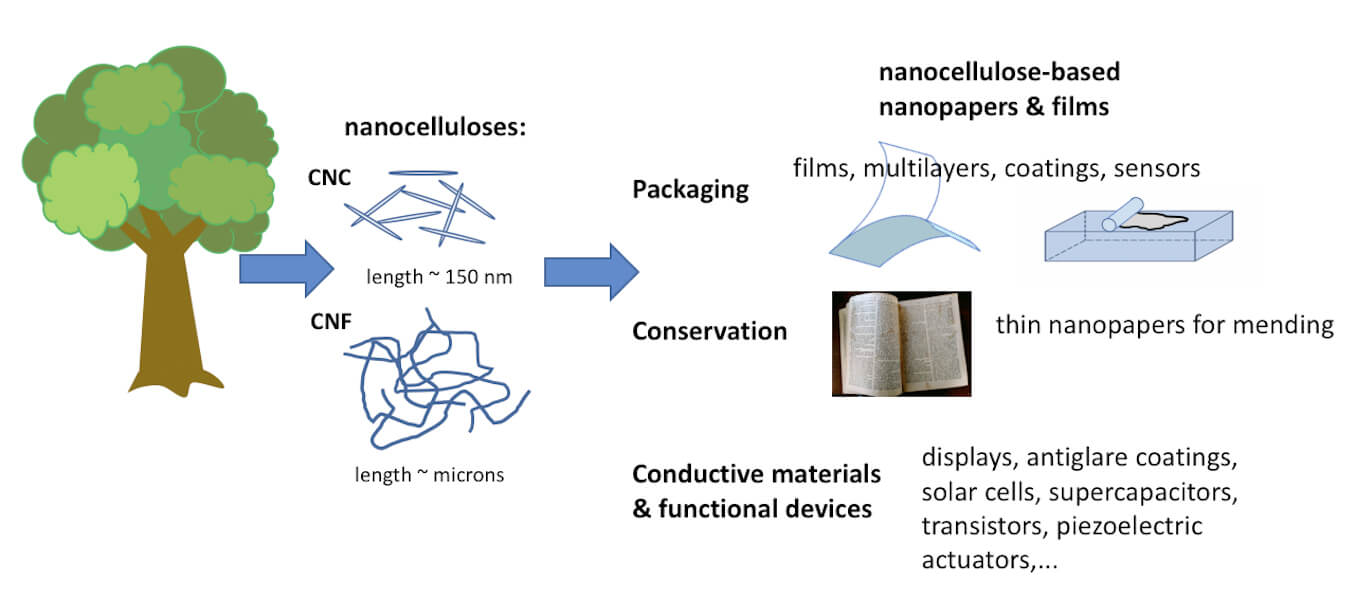 Plant-Based Cellulose Nanopapers with Applications for Packaging, Protective Films and Energy Devices